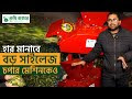 কম্বাইন ঘাস কাটা ও ভুট্টা ভাঙ্গা মেশিন