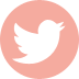 photo T-icon.png