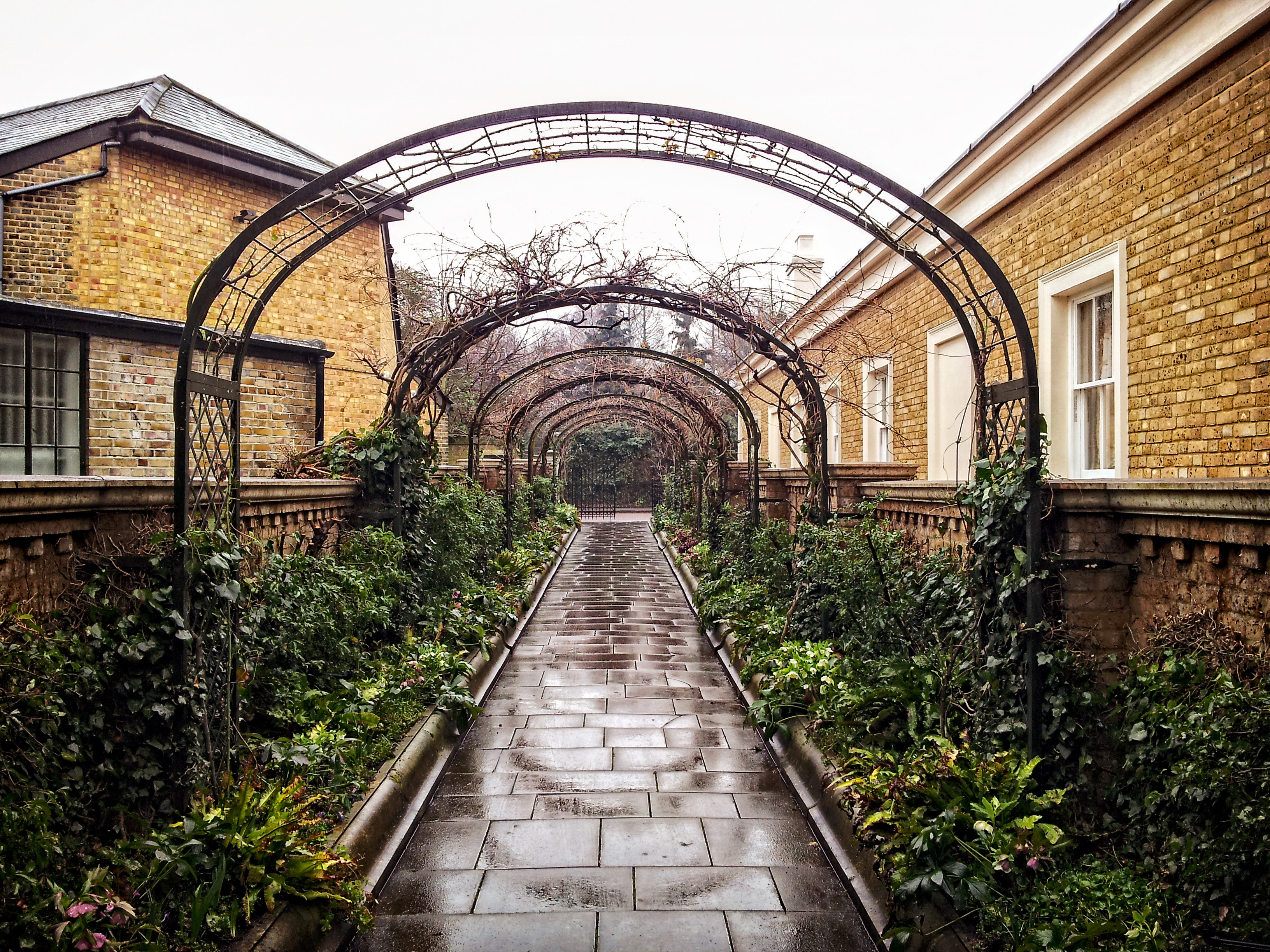 File:Pergola walk, Garden of St John's Lodge, Regent's ...