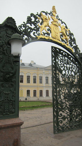 IMG_6305