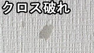 クロス壁紙の破れ補修 ｸﾛｽの入手から補修まで Youtube