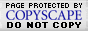 Do Not Plagiarize My Site Please
