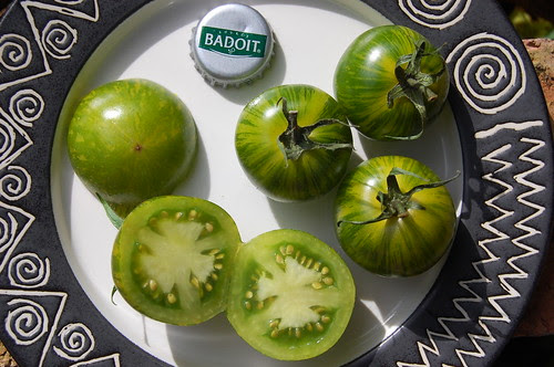 Green Zebra