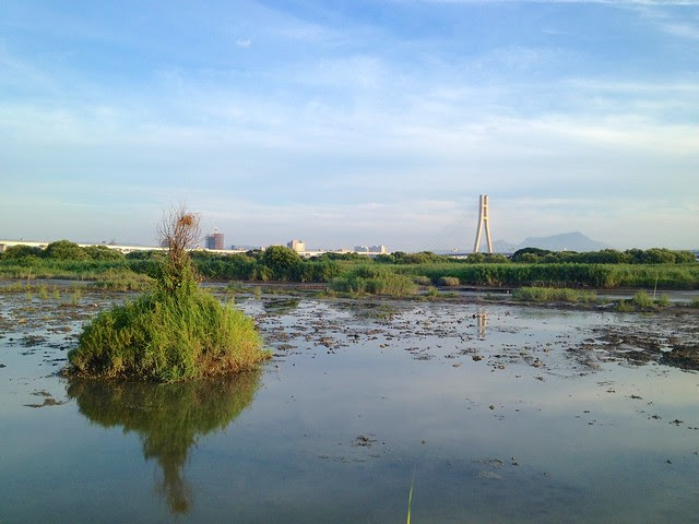 華江雁鴨自然公園