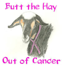 Butt the Hay Out of Cancer
