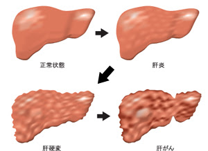診療のご案内 つくばの内科なら杉谷メディカルクリニック