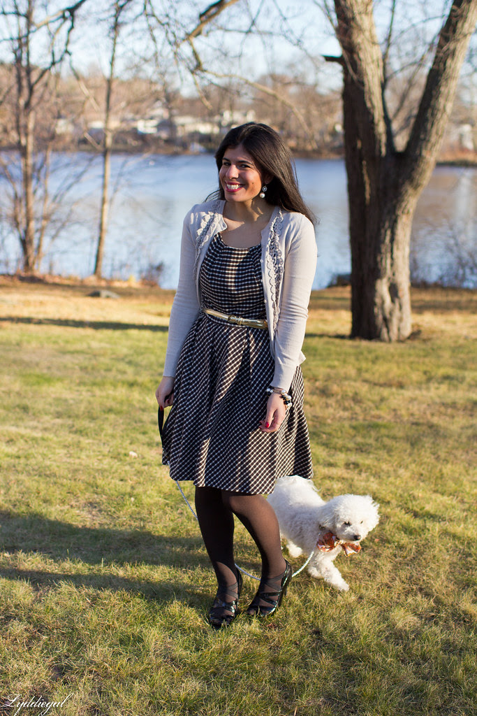 gingham dress cardigan thanksgiving-2.jpg
