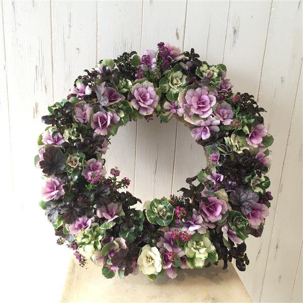 葉牡丹ハンギングリースお世話のしかた 神奈川県ｓ様リピご購入ありがとうございます プランツギャザリング寄せ植え教室をお探しの方へ愛知岐阜など全国からお越しいただいています