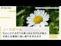 [最も選択された] 花弁 画像 271577