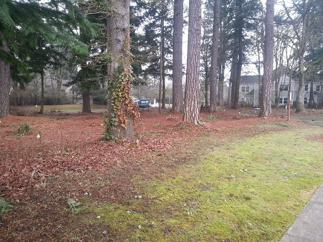 Dwight S. Parr Park