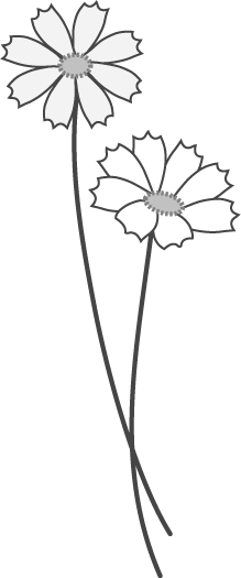 コスモス 秋のイラスト 無料イラスト フリー素材