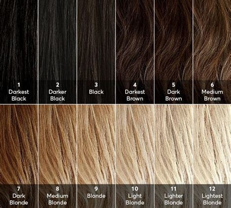  hair color level chart