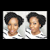 Natural Hair Twist Styles For Short Hair / 39 Gorgeous Natural Hairstyles For Short, Medium And Long Hair / Whether you're just starting out and have super short hair or you've chosen to keep your.