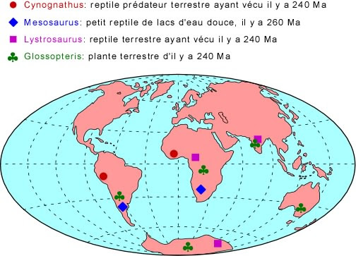 La Derive Des Continents