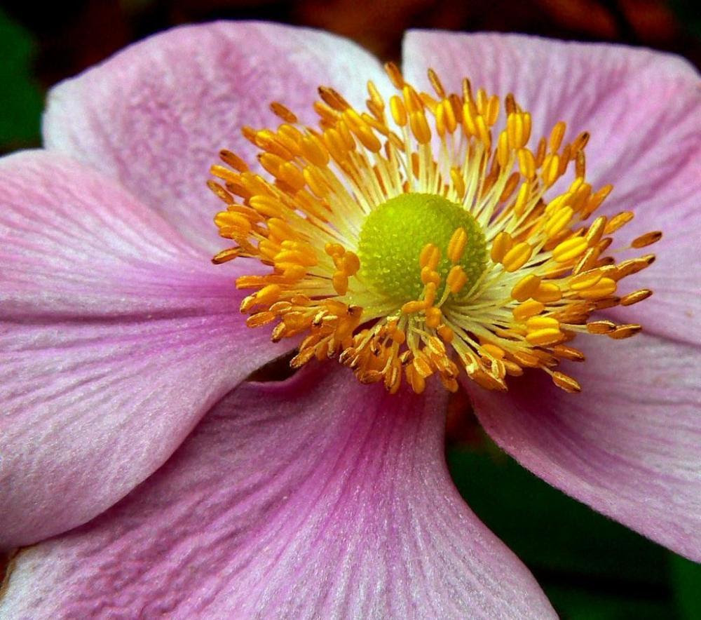 2079985244 F5c0476474 O