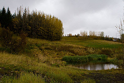 Álafoss