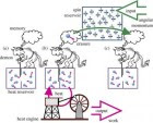 erasinginformation (Royal Society)