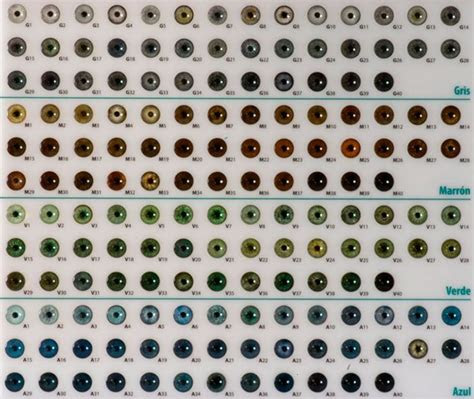 The letters on the top row are the largest; view source image eye color chart rare eye colors eye color chart