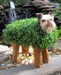 DIY Chia Pet Dog Costume