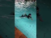 Top Belajar Renang Gaya Dada, Paling Populer!