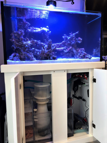 水槽設置例 栃木 宇都宮 アクアリウムショップ おさかなや メダカ 水草 熱帯魚 海水魚 サンゴ 淡水魚 エビ 水槽メンテナンス 水槽設置 メダカ掬い 生体引取り 生体買取 機材引取り 機材買取