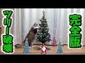 上 クリスマス ツリー 猫 114771-クリスマス ツリー 猫 対策