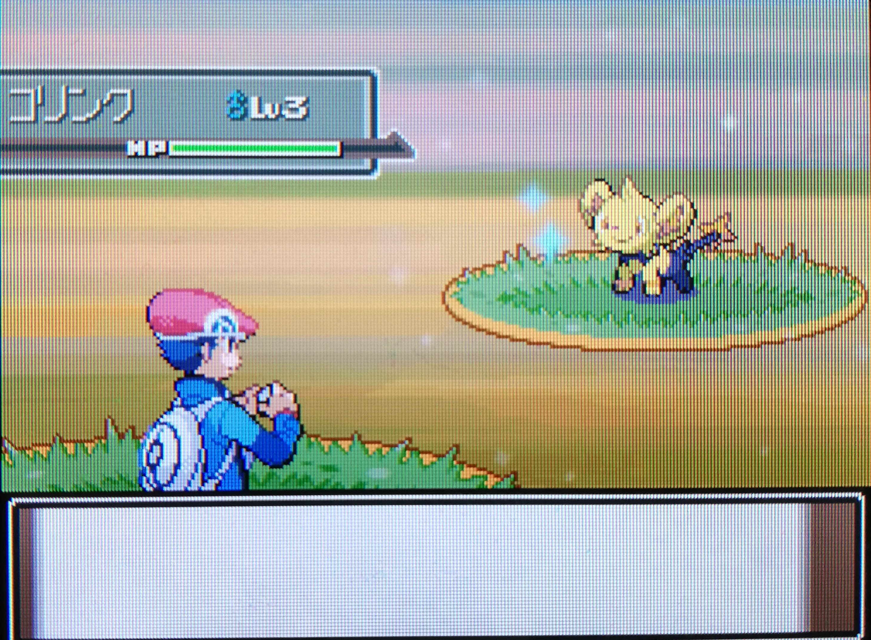 Dpt Id調整 メロボ 色違い ポケモン捕獲用 続 大人でもポケモン好き