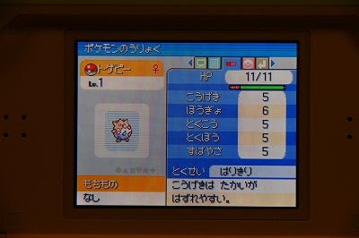 シロナからもらったタマゴ I Will Never Forget