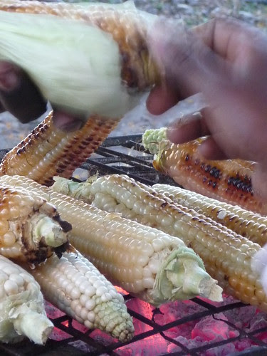 Maize changing hands