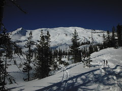 DSCF2378