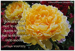 Inspirational Quote 02