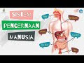 Sistem Percernaan Manusia