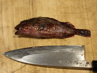 カサゴ アラカブ の唐揚 さばき方 魚料理と簡単レシピ