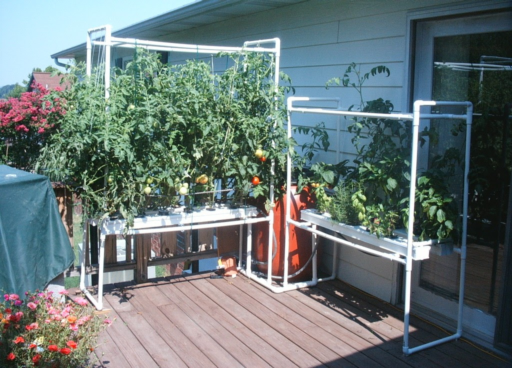 ... HYDROPONICS AQUAPONIC SYSTEMS HOW TO PLANS Gardening, Kit, Aquaponics