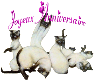 Vendredi 13 Decembre C Est L Anniv De S Discussions Diverses
