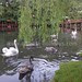 Drilon Pogradec Albania