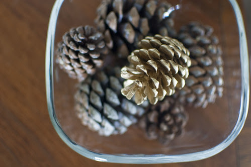 pinecones