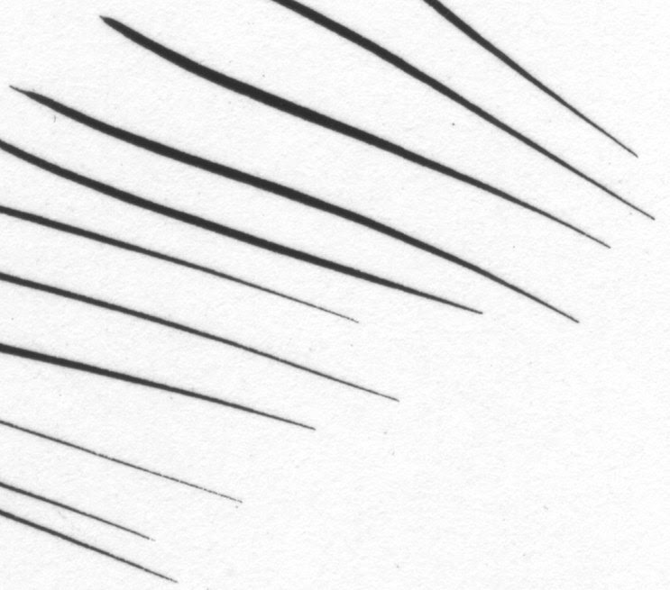 Saiでアナログに近い線を描く為の試行錯誤メモ Gallery