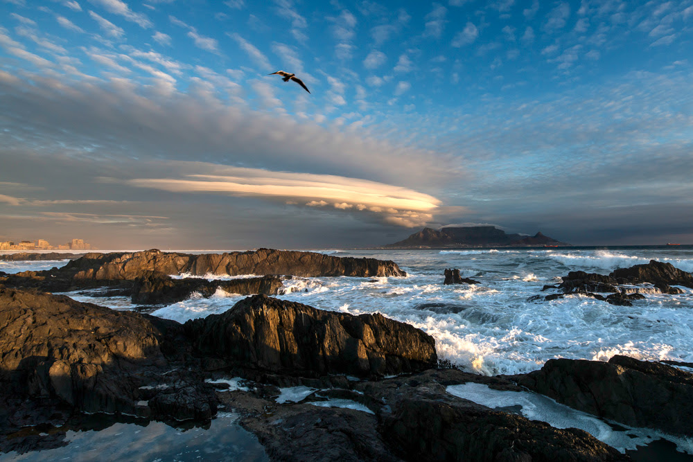 Table Mountain 