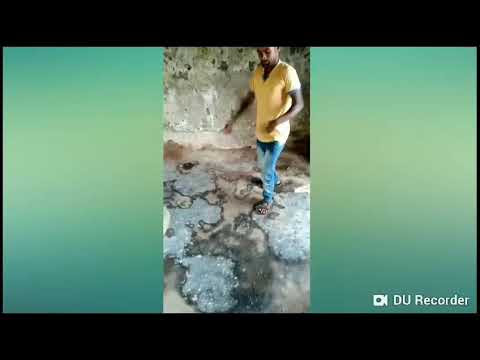 Dance 