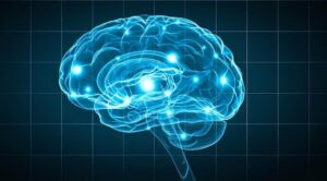 nootropics study