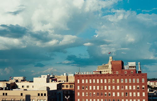 Maverick by Jesse Acosta