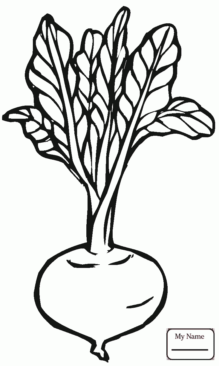 Download Vegetable Coloring Pages | Free download on ClipArtMag