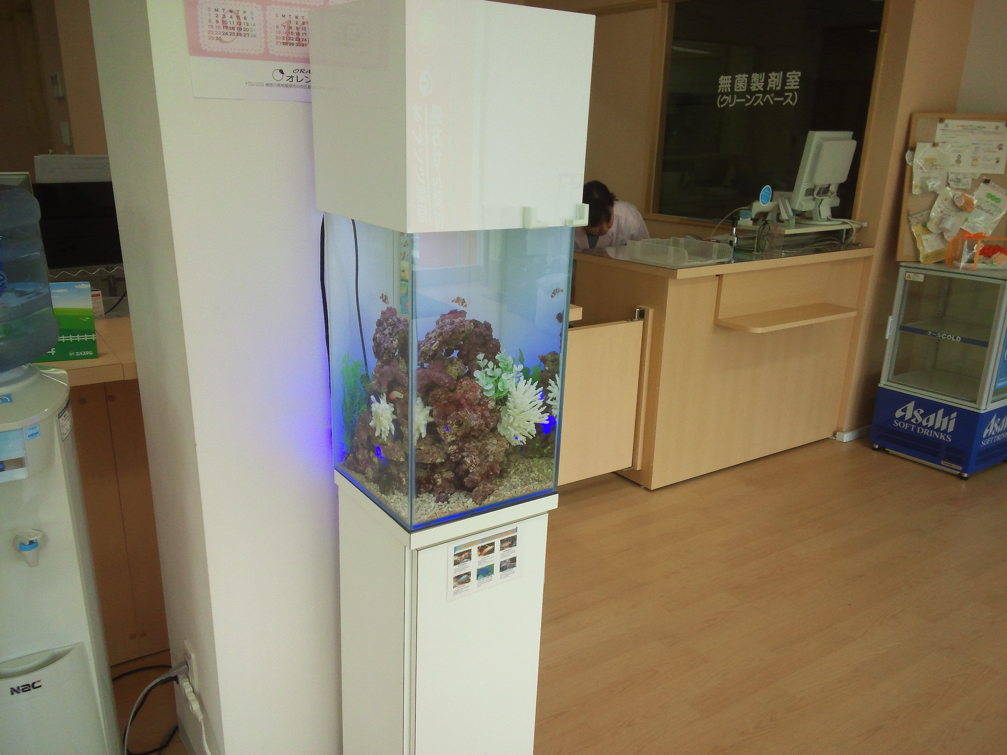 小型水槽 無料モニター 募集 水槽 アクアリウム 熱帯魚 東京や神奈川の水槽レンタル 熱帯魚 海水魚 のことなら ゆーぴてるびゅう