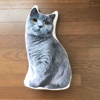 ニトリ 可愛くて癒し系なモチモチ猫さんクッション フツウノコト