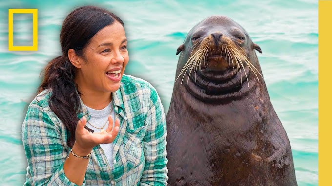 Amazing Expeditions with Liz Bonnin | Ultimate Galápagos Adventure | National Geographic | Travel & Tourism Video Vloggers And Reviews