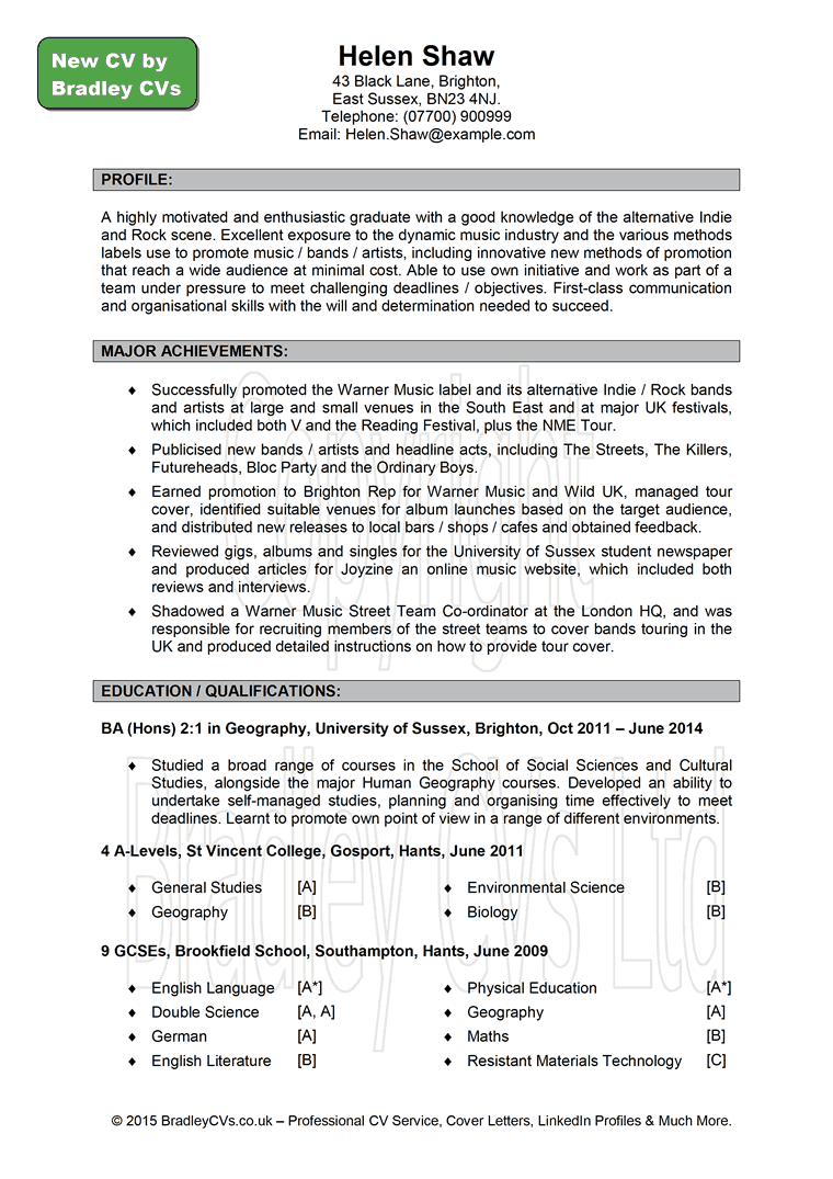Cv Examples Uk Business 