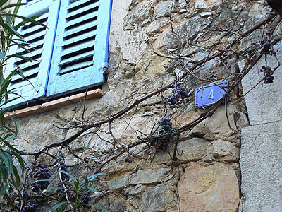 grappe de raisin.jpg