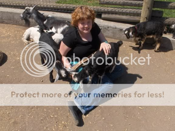 Photobucket - Video and Image Hosting