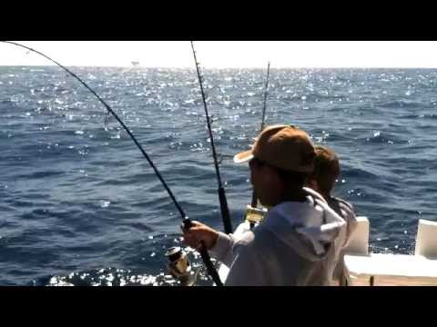 Deep  Fishing Louisiana on Grande Isle Fishing Videos   Reelreports Com